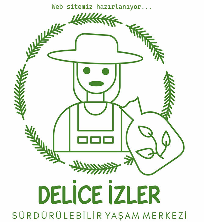 delice izler